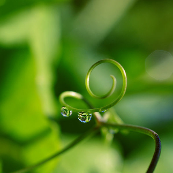 Water Drop Photography - 32