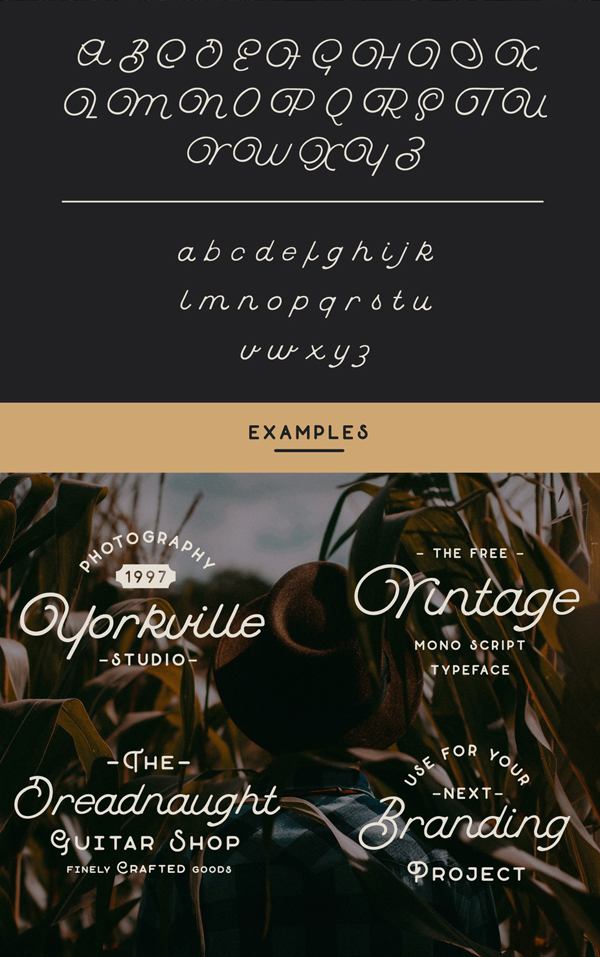 Buffalo Script fonts and letters