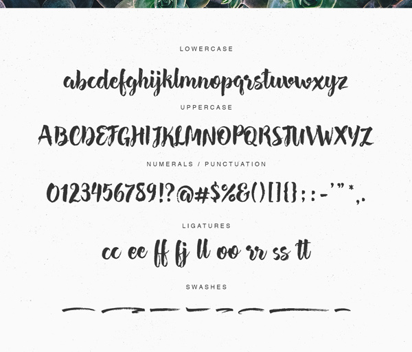 Hensa fonts and letters