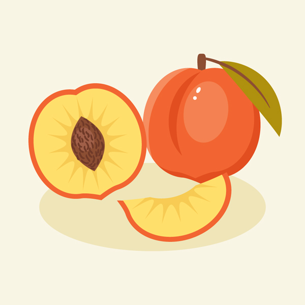 How to Create a Peach Illustration in Adobe Illustrator