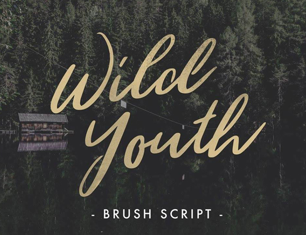 Wild Youth Free Font