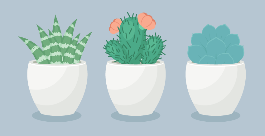 How to Create a Trio of Succulents in Adobe Illustrator