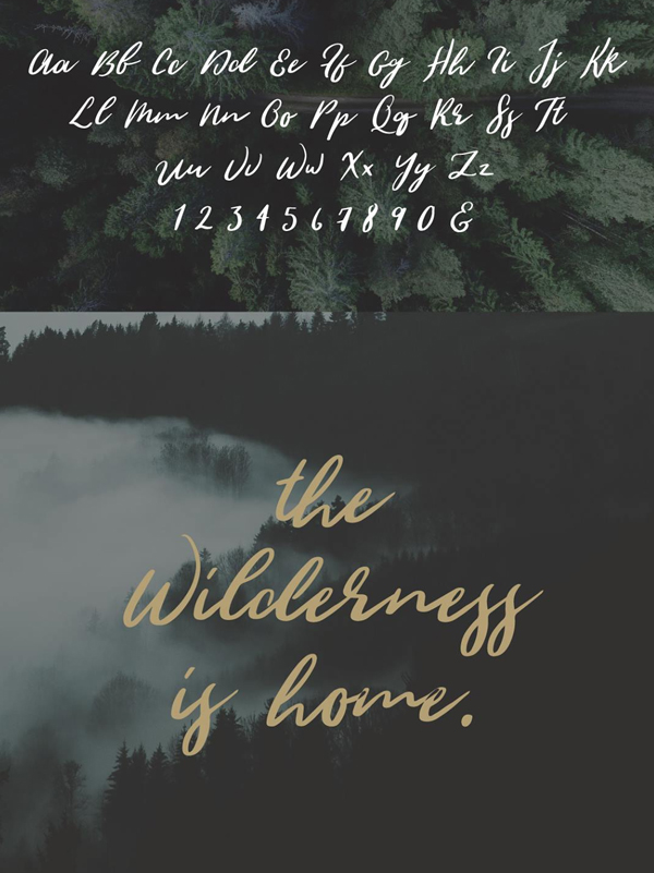 Wild Youth Font & Letters
