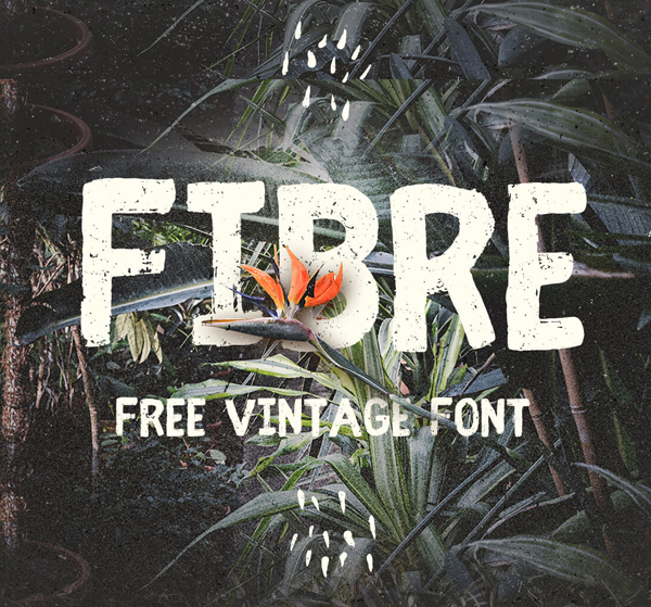 Fibre (Vintage) Free Brush Font
