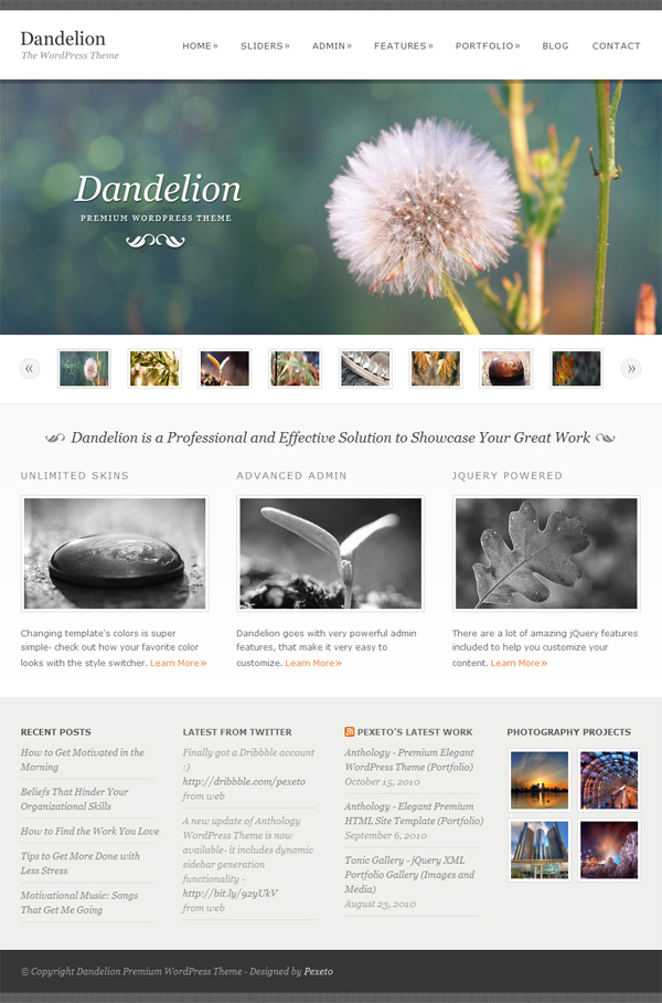 Dandelion - Powerful Elegant WordPress Theme