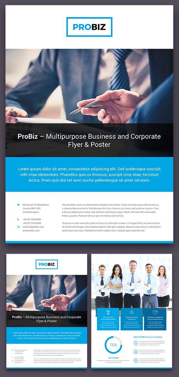 ProBiz – Business and Corporate Flyer Double Sided