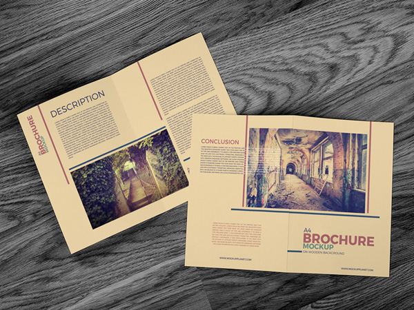 Free A4 Brochure Mockup on Wooden Background