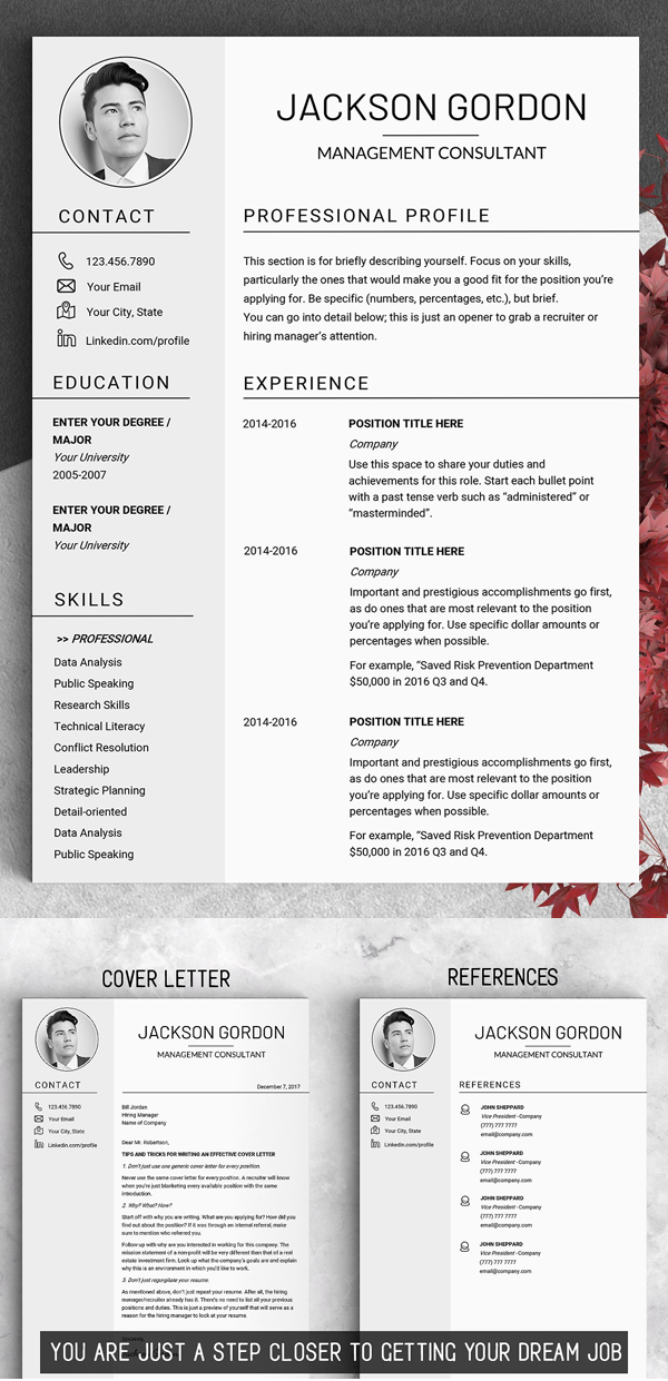 Professional Resume Template 2018