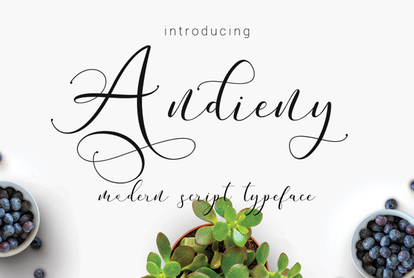 Andieny Script Free Font
