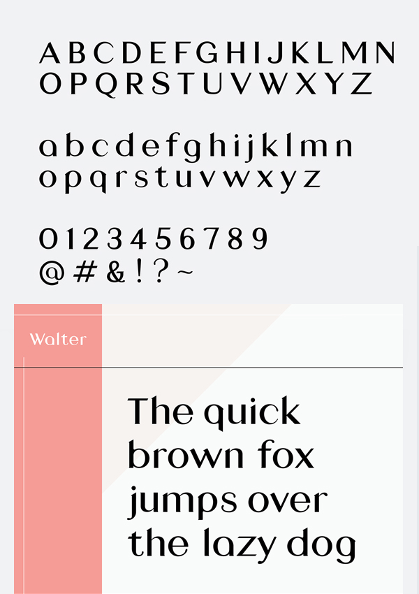 Walter Free Font Letters and Numbers