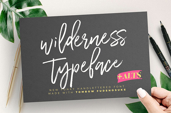 Wilderness Typeface Free Font