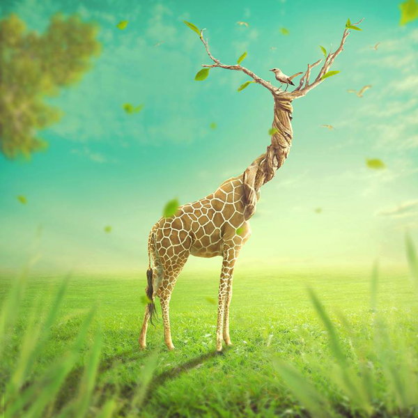 How to Create a Surreal Giraffe Photo Manipulation With Adobe Photoshop