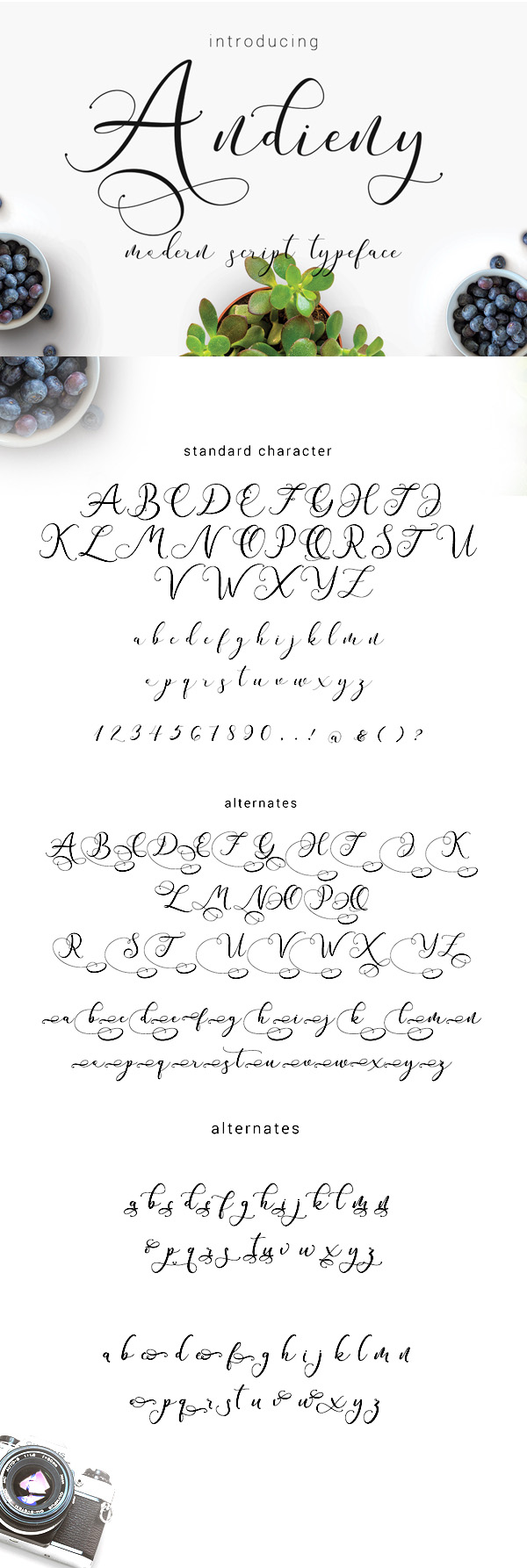 Andieny  Free Script Font
