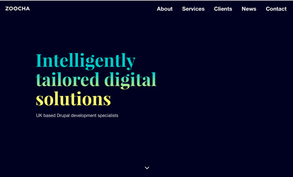 Web Design Agencies Websites – 27 Interactive Examples - 26
