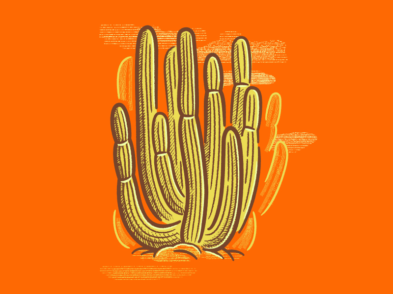 How to Make a Hand Drawn Cactus in Illustrator