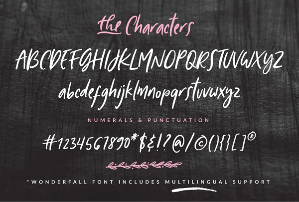 Wonderfall Script Font Letters