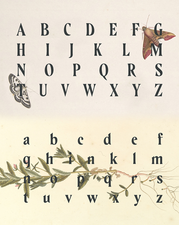 Aventine Font Letters