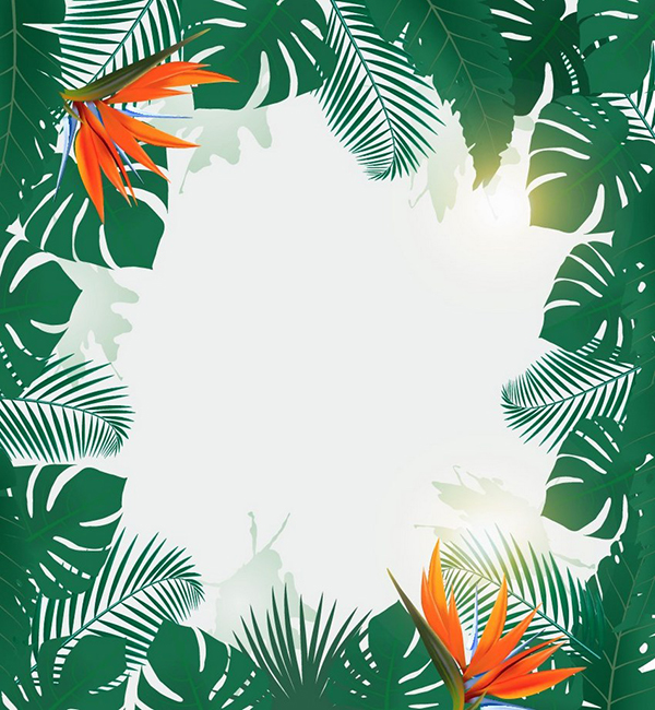 How to Make a Tropical Party Flyer Background in Adobe Illustrator