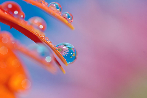 Beautiful Examples Of Water Drop Photography - 1