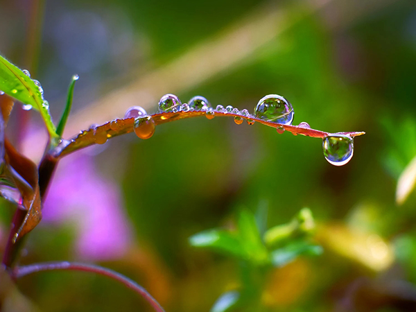 Beautiful Examples Of Water Drop Photography - 11