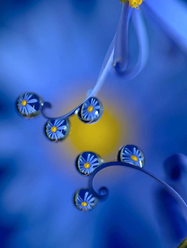 Beautiful Examples Of Water Drop Photography - 14