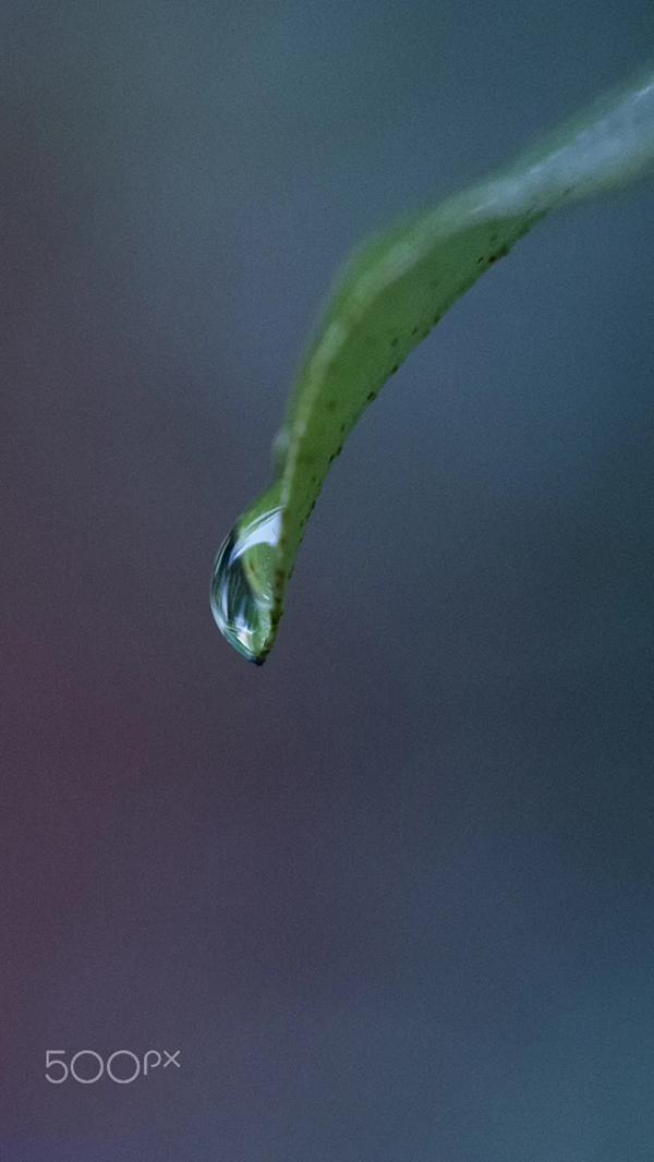 Beautiful Examples Of Water Drop Photography - 17