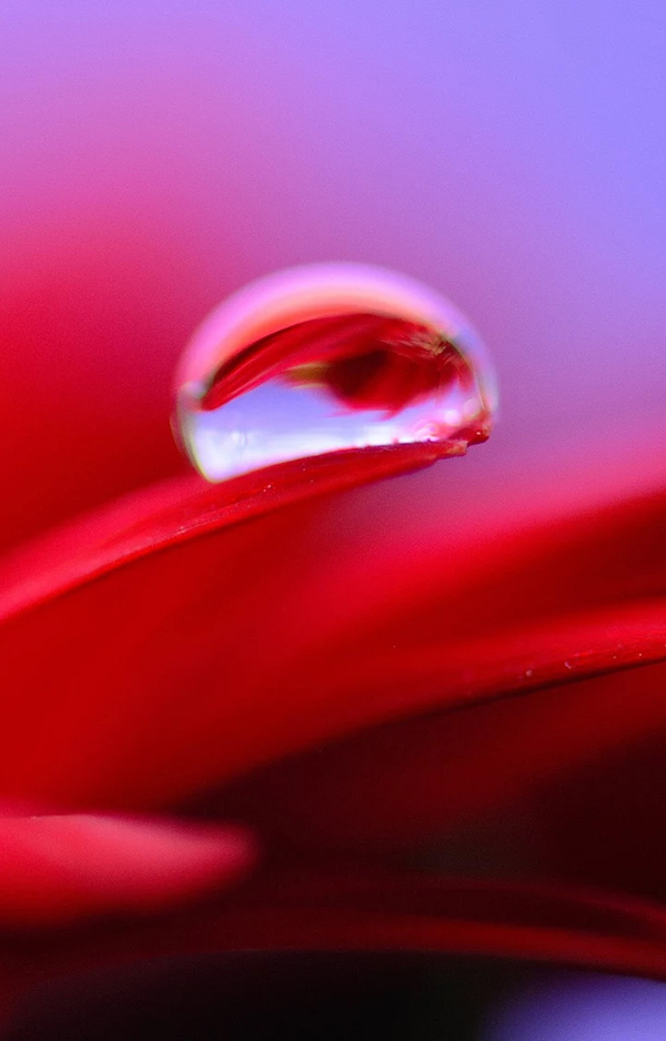 Beautiful Examples Of Water Drop Photography - 18