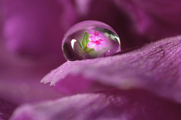 Beautiful Examples Of Water Drop Photography - 21