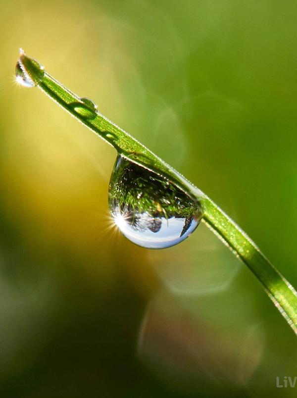 Beautiful Examples Of Water Drop Photography - 25