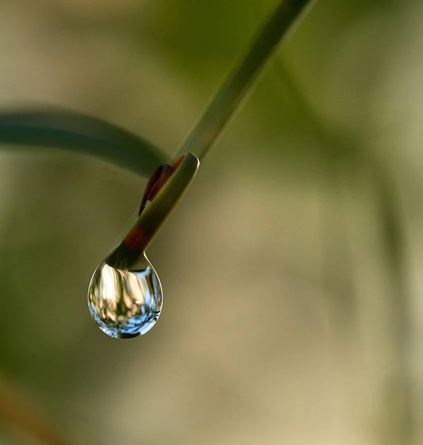 Beautiful Examples Of Water Drop Photography - 26