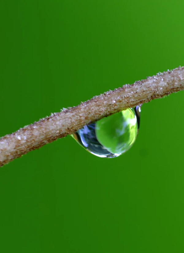 Beautiful Examples Of Water Drop Photography - 28