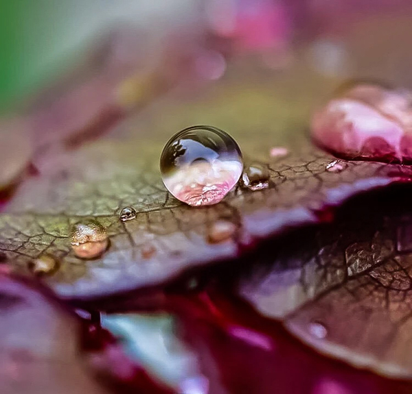Beautiful Examples Of Water Drop Photography - 34