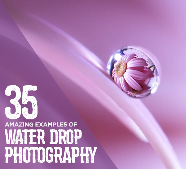 35 Beautiful Examples Of Water Drop Photography