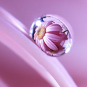 Post thumbnail of 35 Beautiful Examples Of Water Drop Photography