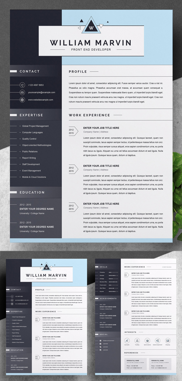 20 Best Simple Clean Resume Templates Design Graphic Design Junction