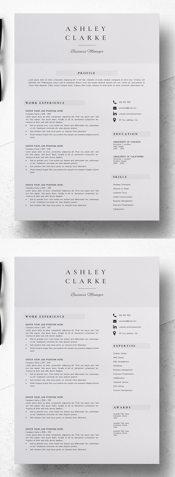 Useful and Professional Resume Templates