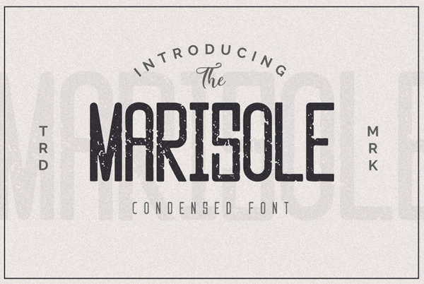 Marisole Vintage Textured Free Font Design