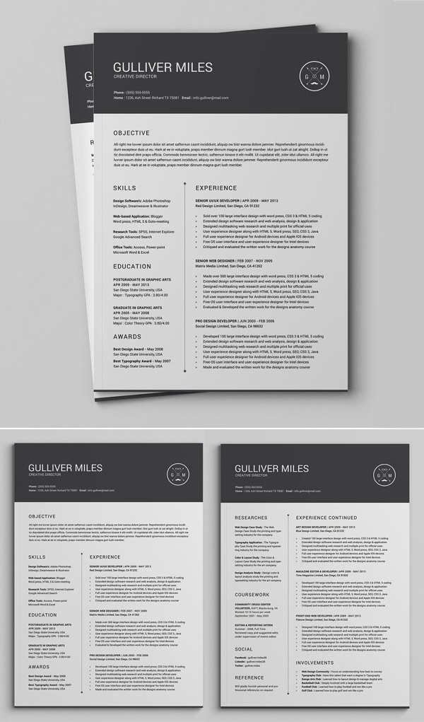 2 Pages Resume CV