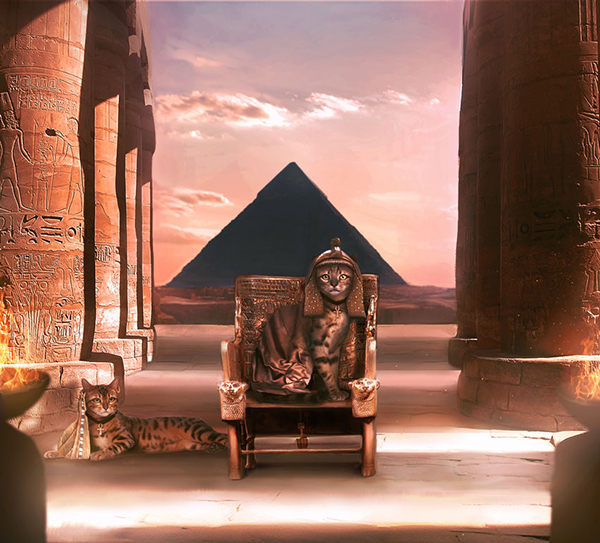 How to Create an Ancient-Egypt-Inspired Cat Photo Manipulation in Photoshop