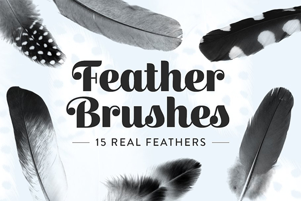 Feather Photoshop Brushes