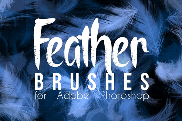 Real Feather Photoshop Brushes