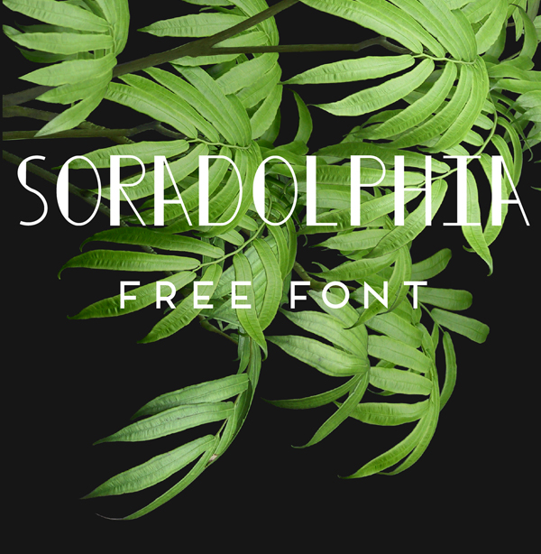 Soradolphia Free Font