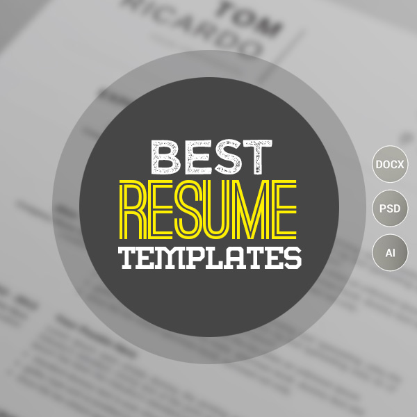 15 Best Resume Templates For Every Job Type