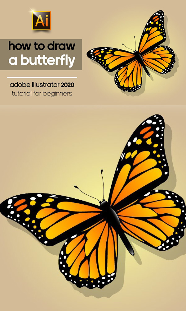 How to Draw a Beautiful Butterfly in Adobe Illustration 2020