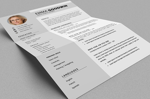 Free Resume 2 Page + Cover Letter Templates (PSD) - 8