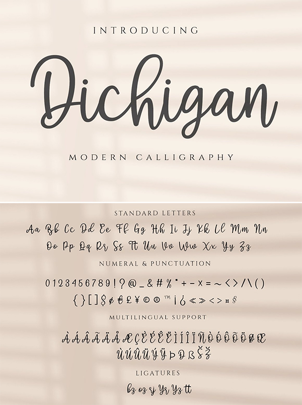 Dichigan - Modern Calligraphy Script Font