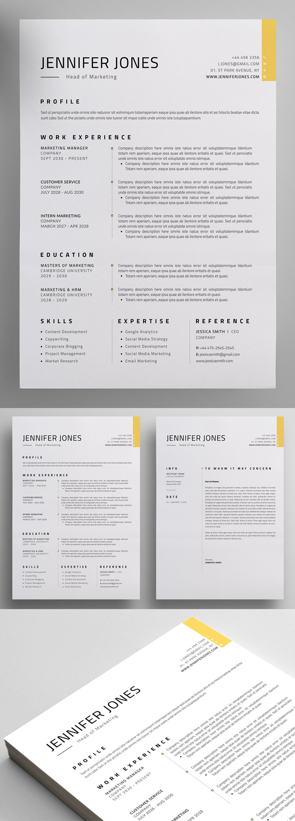 Modern and Professional Resume