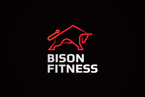 Bison fitness by Ahmed creatives
