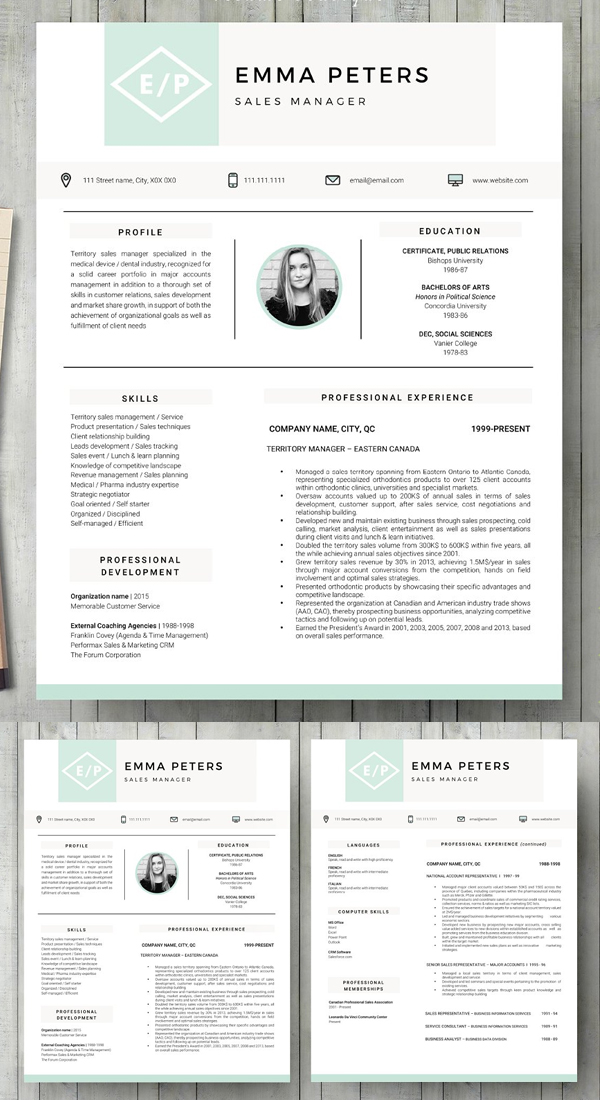 Perfect Resume / CV Template