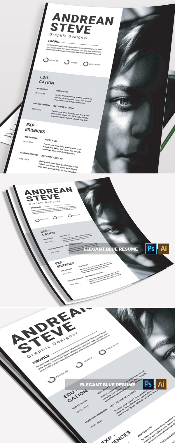 Andrean Resume | CV & Resume